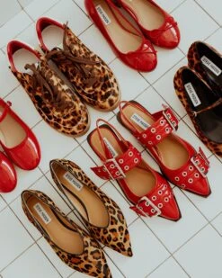 GRAYA RED PATENT -Steve Madden Shop SM 2024 MARCH SOCIAL LOSANGELES 01 ANIMALPRINTGROUPING 01 e913f577 0c91 410d 8215 4b31fff5c478