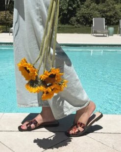 HADYN TORTOISE - SM REBOOTED -Steve Madden Shop SM 2025 MAY TSITP UGC HADYN TORTOISE 8 1a53350d 2e4f 4c6d 8063 cdf3d3398ea3