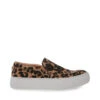 GILLS-A LEOPARD - SM REBOOTED -Steve Madden Shop STEVEMADDEN ATHLETIC GILLS A LEOPARD SIDE