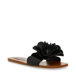 Steve Madden Shop 11 CHELSEA BLACK - SM REBOOTED
