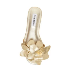 MELENA GOLD LEATHER - SM REBOOTED -Steve Madden Shop STEVEMADDEN SHOES MELENA GOLD LEATHER TOP