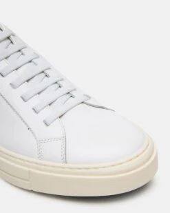 ZOII WHITE LEATHER -Steve Madden Shop STEVEMADDEN MENS ZOII WHITE LEATHER d3806cb1 b25b 4f90 9120 390be246900b